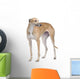 Greyhound Wall Decal