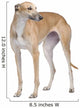 Greyhound Wall Decal