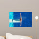 Diver on the springboard, ready to jump backwards Wall Mural