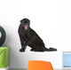 Black Leopard 6 Years Wall Decal
