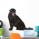 Black Leopard 6 Years Wall Decal