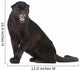 Black Leopard 6 Years Wall Decal