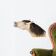 Talkative Horse Wall Decal