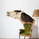 Talkative Horse Wall Decal