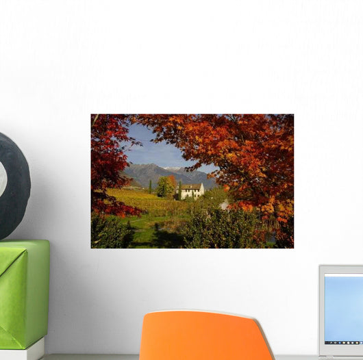Old Maso Meran Wall Decal