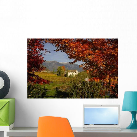 Old Maso Meran Wall Decal