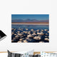 Salar Atacama with Vulkan Wall Decal