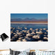 Salar Atacama with Vulkan Wall Decal