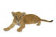 tiger cub Wall Decal