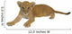tiger cub Wall Decal