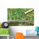 Japanese Bamboo Fountain Wall Decal