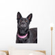 Beautiful Black Shepherd Dog Looking Up Wall Decal
