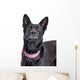 Beautiful Black Shepherd Dog Looking Up Wall Decal