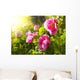 Peony Flowers Wall Decal