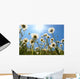 White Daisies Blue Sky Wall Decal Design 2