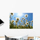 White Daisies Blue Sky Wall Decal Design 2