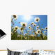 White Daisies Blue Sky Wall Decal Design 2