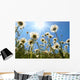 White Daisies Blue Sky Wall Decal Design 2