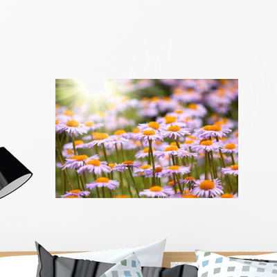 Field Wild Violet Flowers Wall Decal shown on a wall