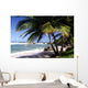 Shadow on the Beach Wall Mural