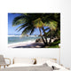 Shadow on the Beach Wall Mural
