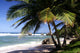 Shadow on the Beach Wall Mural