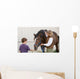 Boy Feeding Horse Wall Decal