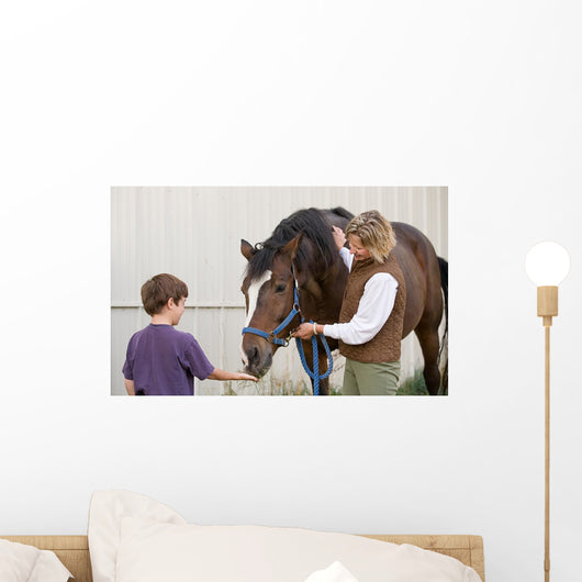 Boy Feeding Horse Wall Decal