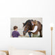 Boy Feeding Horse Wall Decal