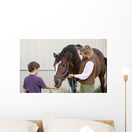Boy Feeding Horse Wall Decal