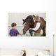Boy Feeding Horse Wall Decal
