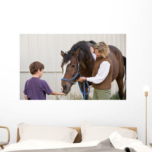 Boy Feeding Horse Wall Decal