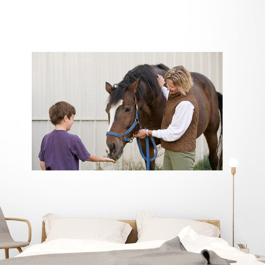 Boy Feeding Horse Wall Decal