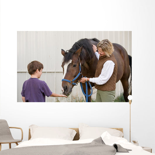 Boy Feeding Horse Wall Decal