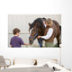 Boy Feeding Horse Wall Decal