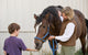Boy Feeding Horse Wall Decal