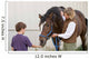 Boy Feeding Horse Wall Decal