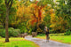 Cyclist Autumn Scenery Wall Mural