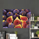 Fig Fig 06a Wall Decal
