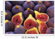 Fig Fig 06a Wall Decal