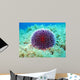 Sea Urchin Wall Decal