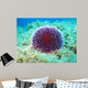 Sea Urchin Wall Decal