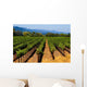 Napa Valley Vineyard in California Wall Mural
