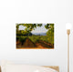 Napa Valley Vineyard in California at Sunset Wall Mural