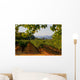 Napa Valley Vineyard in California at Sunset Wall Mural