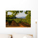 Napa Valley Vineyard in California at Sunset Wall Mural
