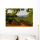 Napa Valley Vineyard in California at Sunset Wall Mural