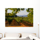 Napa Valley Vineyard in California at Sunset Wall Mural