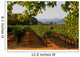 Napa Valley Vineyard in California at Sunset Wall Mural