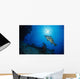 Cernia Al Pasto Wall Mural
